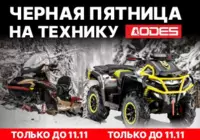 Черная пятница.AODES