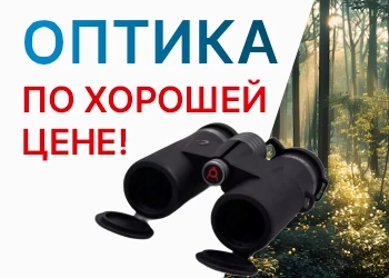 Найди свою цель