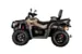 Квадроцикл AODES Pathcross ATV 650 L EPS двухместный 2025