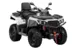 Квадроцикл AODES Pathcross ATV 650 L EPS двухместный (Белый, , , )