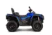 Квадроцикл AODES Pathcross ATV 650 L EPS двухместный (Синий, , , )