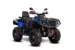 Квадроцикл AODES Pathcross ATV 650 L EPS двухместный (Синий, , , )