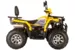 Квадроцикл ATV SPR ARMOUR 200cc Pro Version