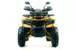 Квадроцикл ATV SPR ARMOUR 200cc Pro Version (Красный , , , )