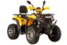 Квадроцикл ATV SPR ARMOUR 200cc Pro Version