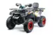 Квадроцикл MOTOLAND ATV 200 WILD TRACK X PRO