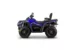 Квадроцикл AODES Pathcross ATV 650 L EPS двухместный (Синий, , , )