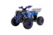 Квадроцикл ATV WELS Thunder 125  EVO