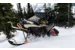 Снегоход Ski-Doo EXPEDITION LE 900 ACE 24in 2024