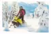 Снегоход Ski-Doo Summit X 154 850 E-TEC 2020 Yellow