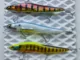 Воблер Megabass Vision Oneten LBO 115F