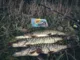 Воблер Megabass Oneten Max LBO 135F