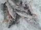 Мормышка Тульская Шайба 4.5