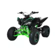 Квадроцикл Mikilon Rapide 200 EFI (vin)