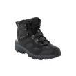 Ботинки Jack Wolfskin Vojo 3WT Texapore Mid W (Phantom/Black 5)