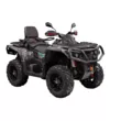 Квадроцикл AODES Pathcross 650 ATV SS одноместный