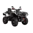 Квадроцикл AODES Pathcross 650 ATV SS одноместный