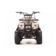 Квадроцикл MOTOLAND ATV 110 RIDER