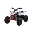 Квадроцикл Mikilon Rapide 125 S (Белый, , , )