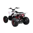 Квадроцикл Mikilon Rapide 125 S (Белый, , , )