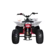 Квадроцикл Mikilon Rapide 125 S (Белый, , , )