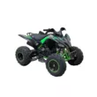 Квадроцикл Mikilon Rapide 250 S (Черный/зеленый  )