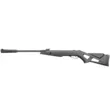 Винтовка пневматическая Gamo Whisper IGТ к.4,5 мм