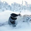 Куртка Snogear Extreme с утеплителем мужская