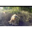 Костюм маскировочный Кикимора