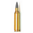 Патрон Hornady к.243 Win V-Max Moly 3,8 г