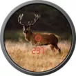 Бинокль-дальномер Zeiss 8x45 T* Victory RF