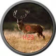 Бинокль-дальномер Zeiss 8x45 T* Victory RF