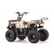 Квадроцикл MOTOLAND ATV 110 RIDER