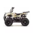 Квадроцикл MOTOLAND ATV 110 RIDER