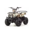 Квадроцикл MOTOLAND ATV 110 RIDER