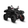 Квадроцикл AODES Pathcross ATV 650 L EPS двухместный 2025 (Черный,  )