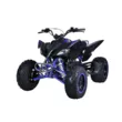Квадроцикл Mikilon Rapide 200 EFI (vin)