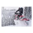 Гусеницы Timbersled RIOT 120