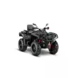 Квадроцикл AODES Pathcross ATV 650 L PRO EPS двухместный 2025 (Черный,  )
