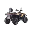 Квадроцикл GT Racer 300 MAX EFI (Машинокомплект) (Песочный,  )