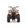 Квадроцикл MOTOLAND ATV 110 RIDER