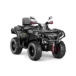 Квадроцикл AODES Pathcross ATV 1000 L EPS двухместный 2026 (Серый,  )