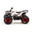 Квадроцикл MOTOLAND ATV 125 WILD