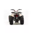 Квадроцикл MOTOLAND ATV 125 WILD