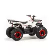 Квадроцикл MOTOLAND ATV 125 WILD