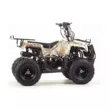 Квадроцикл MOTOLAND ATV 110 RIDER