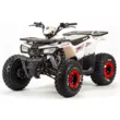 Квадроцикл MOTOLAND ATV 125 WILD