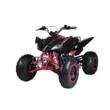 Квадроцикл Mikilon Rapide 200 EFI (vin)