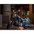 Мотоцикл Indian Darkhorse Thunder Black Smoke ( )