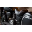 Мотоцикл Indian Darkhorse Thunder Black Smoke ( )